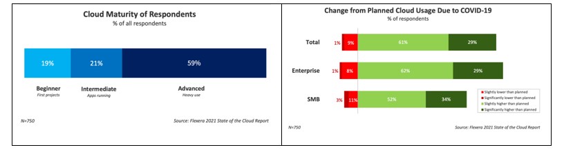 Flexera State-of-the-Cloud report 